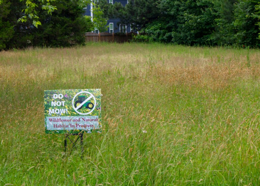 A field of grass containing many wild plants with a sign at the front that says "do not mow. wildflowers and natural habitat in progress".