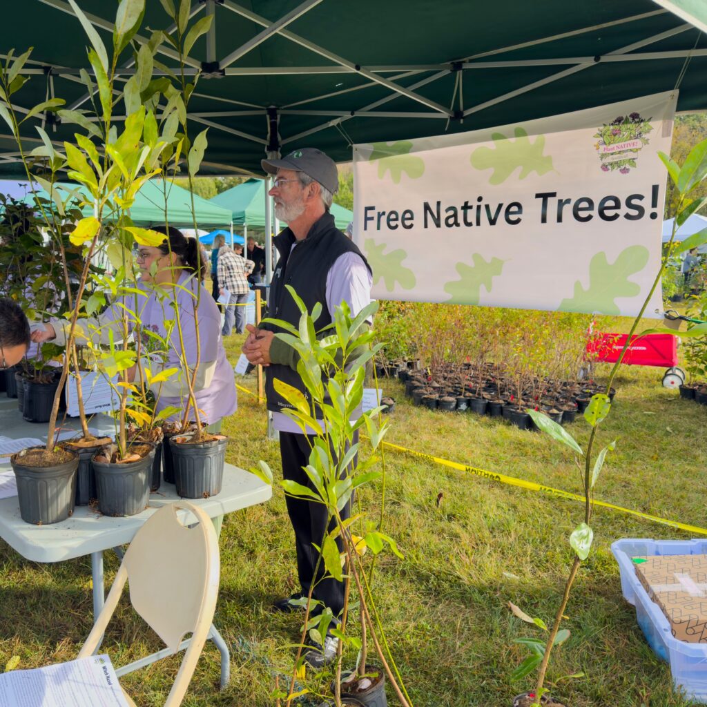 A banner with text "Free Native Trees!" hung on the underside of a tent that is full of one-gallon potted trees.