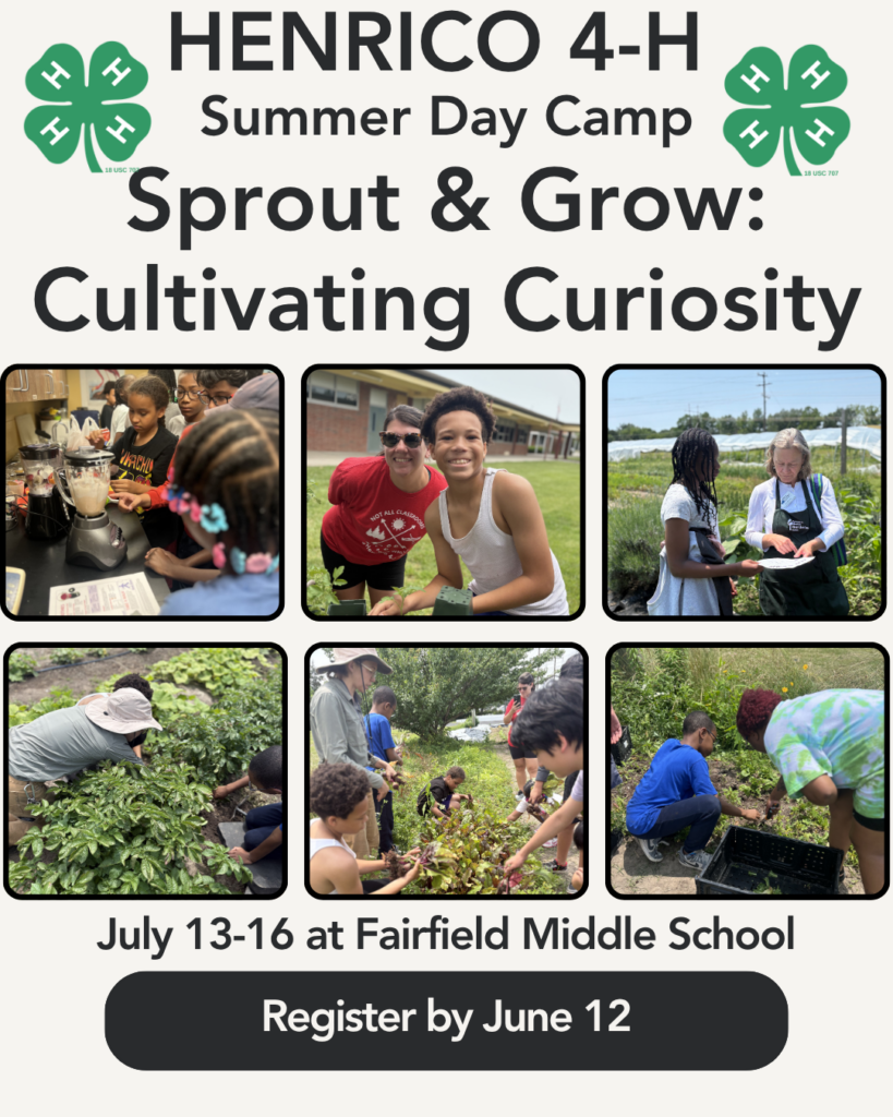 Henrico 4-H Summer Day Camp poster titled "Sprout & Grow: Cultivating Curiosity." Includes images of participants engaging in activities like gardening, cooking, and crafts. Camp dates are July 13-16 at Fairfield Middle School. Registration deadline is June 12.