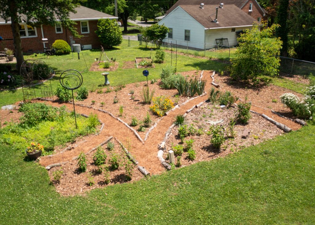 A large section of a yard that is mulched and pathed with many native flowers and shrubs growing in the mulched area.