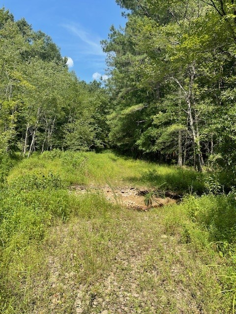 Future trail alignment