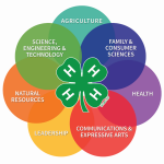 photo of What is 4-H?