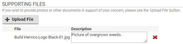 Optional, enter descriptions for the files.