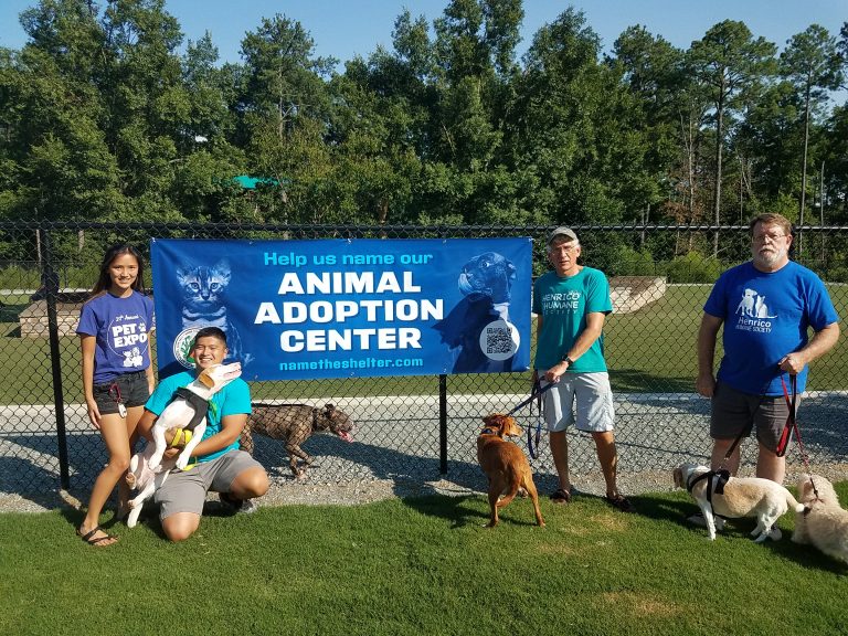 Banner With Dogs