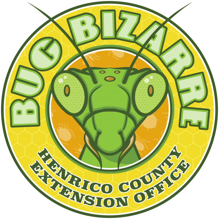 Bugbizarre Extension