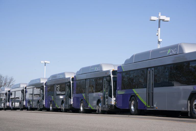 GRTC Buses