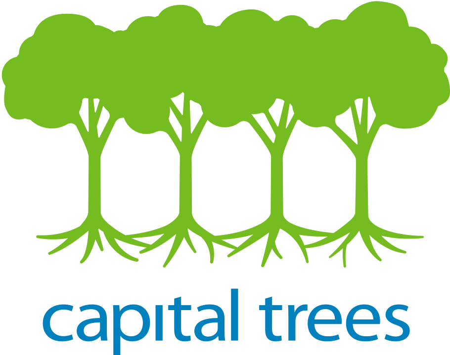 Logo of silhouettes of 4 trees with roots & blue text of capital trees underneath 