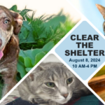 A collage of dogs and cats with the text "Clear the Shelter august 8, 2024 10 a.m. to 4 p.m." in the center.