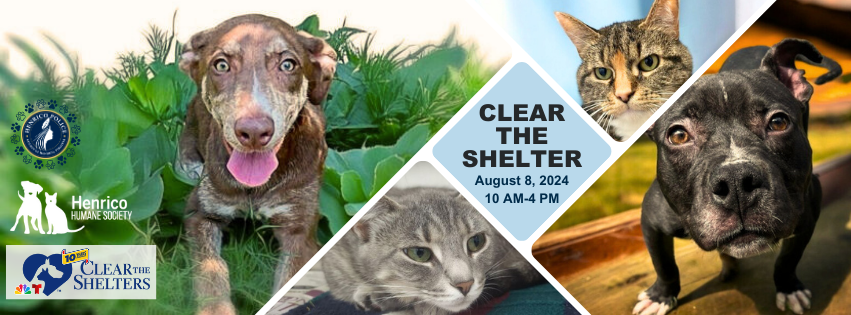 A collage of dogs and cats with the text "Clear the Shelter august 8, 2024 10 a.m. to 4 p.m." in the center.