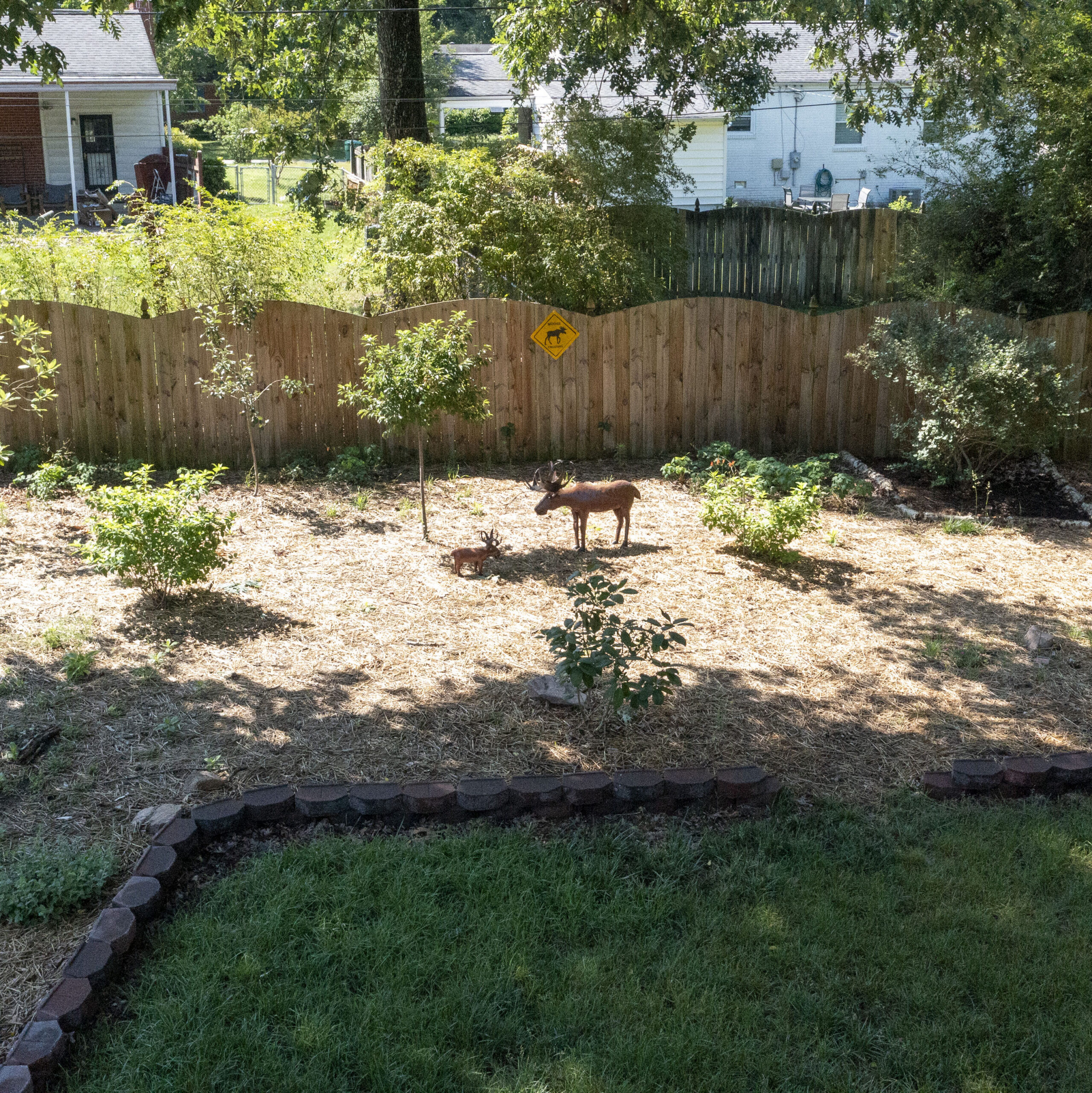 A plant bed containing various young native trees and that is mulched with pine needles. Two plastic moose are set standing in the bed for decoration.