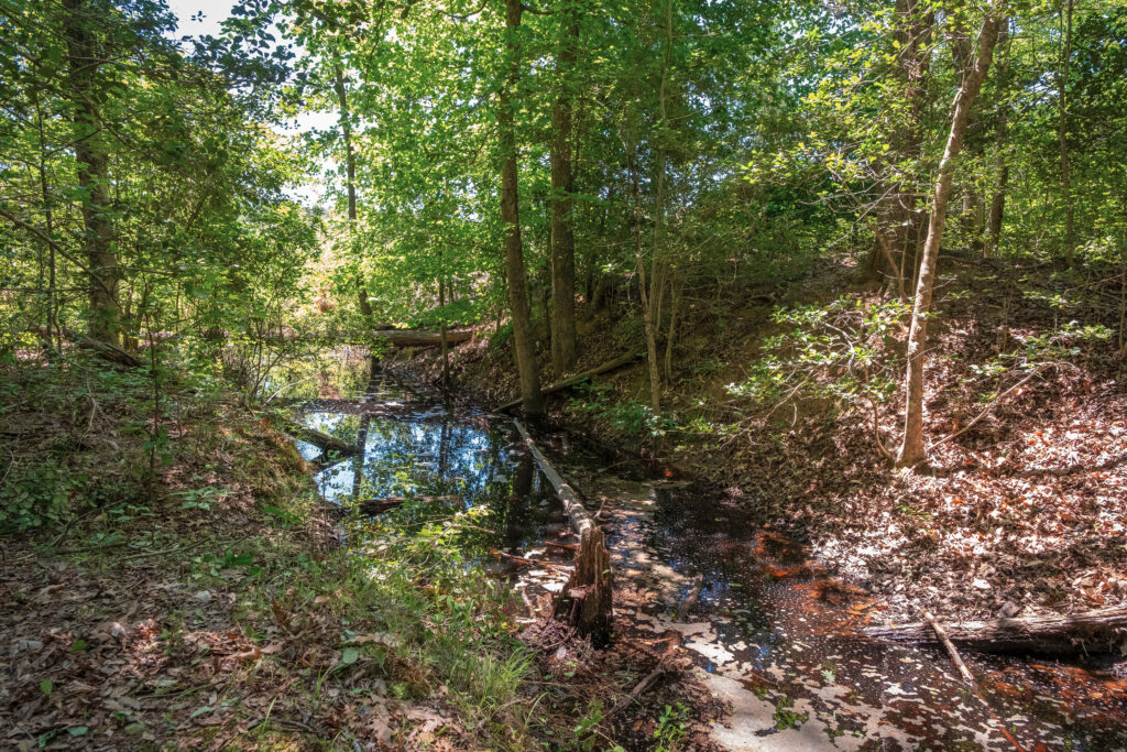 A wooded area with remains of a Civil War fort by a ditch filled with water.