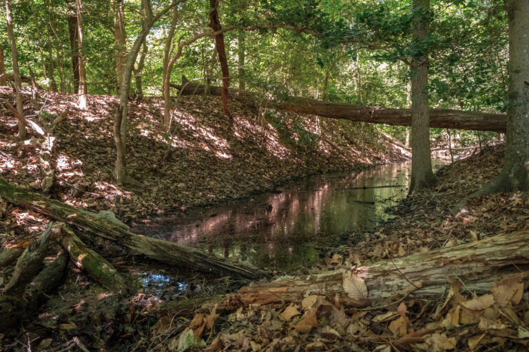 A wooded area with remains of a Civil War fort by a ditch filled with water.