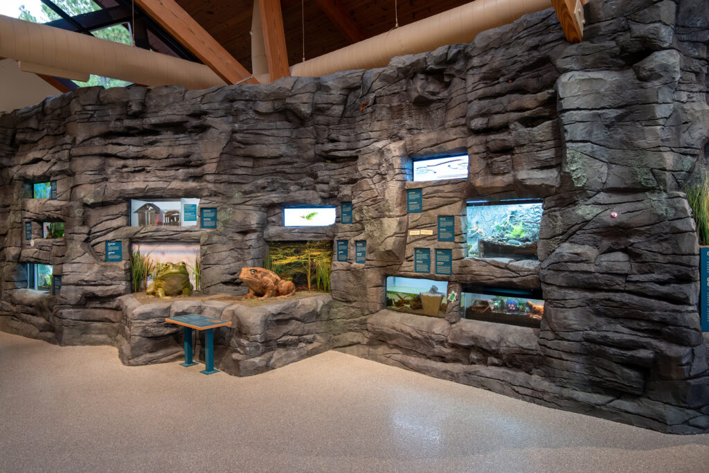 A photo shows seven tanks with frogs, spiders and other critters in them.