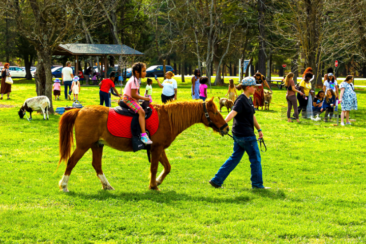 Girl riding a horse at a fall event. People in the back visiting the petting zoo.