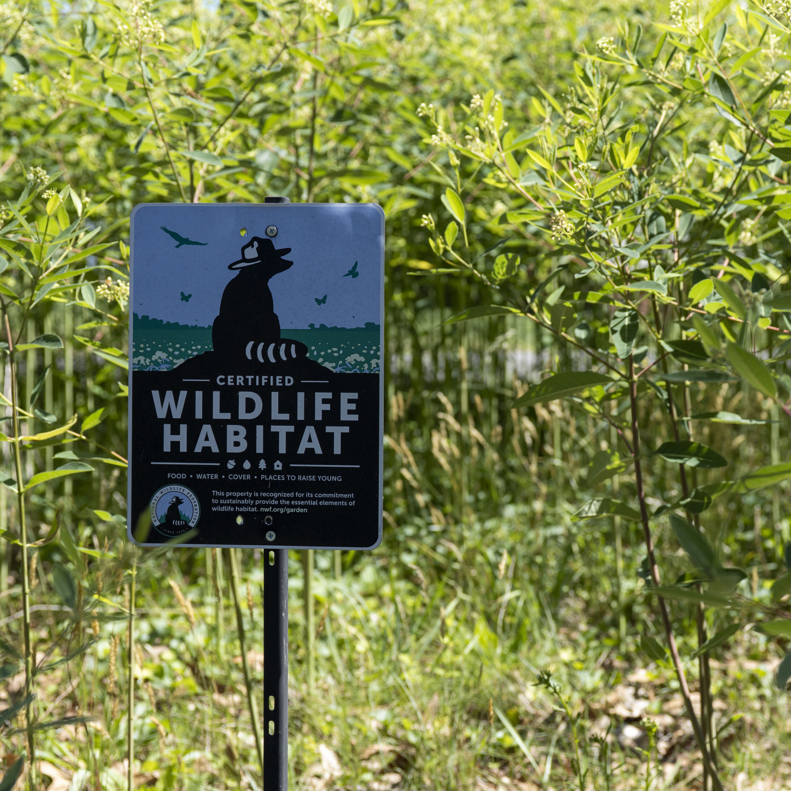 A sign with text "Certified Wildlife Habitat" in front of a green pollinator garden.