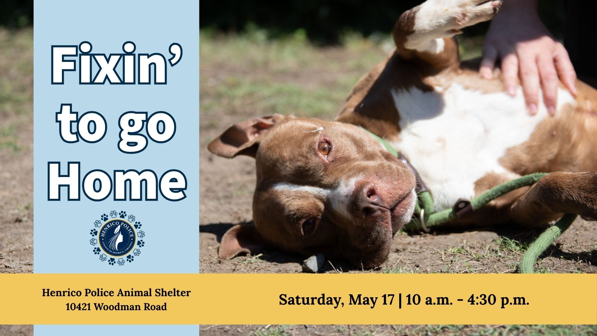 an image with a dog promoting a pet adoption event that says "Fixin' to go Home"