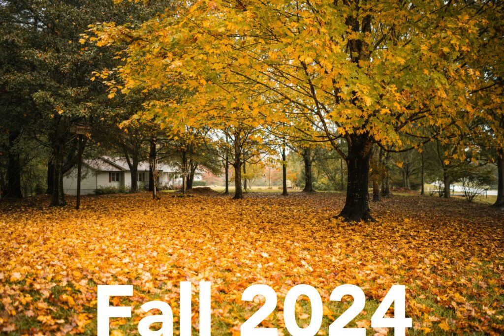 Photo of fall leaves on a yard with text "Fall 2024"