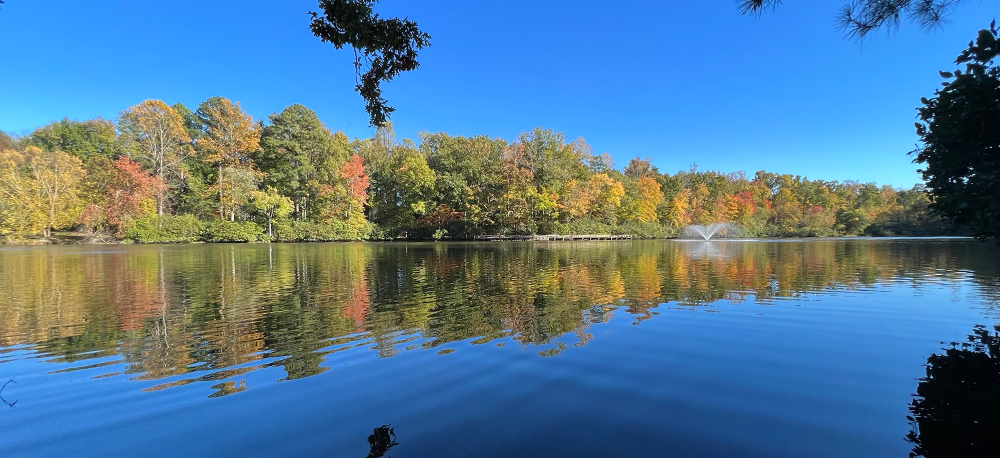 Masthead photo of a lake with trees reflected on the water. The trees have slight fall colors. In the distance is a spray fountain in the water. A few tree branches show in the forefront on a blue sky.