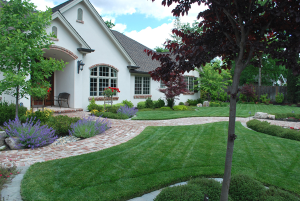 House and landscape