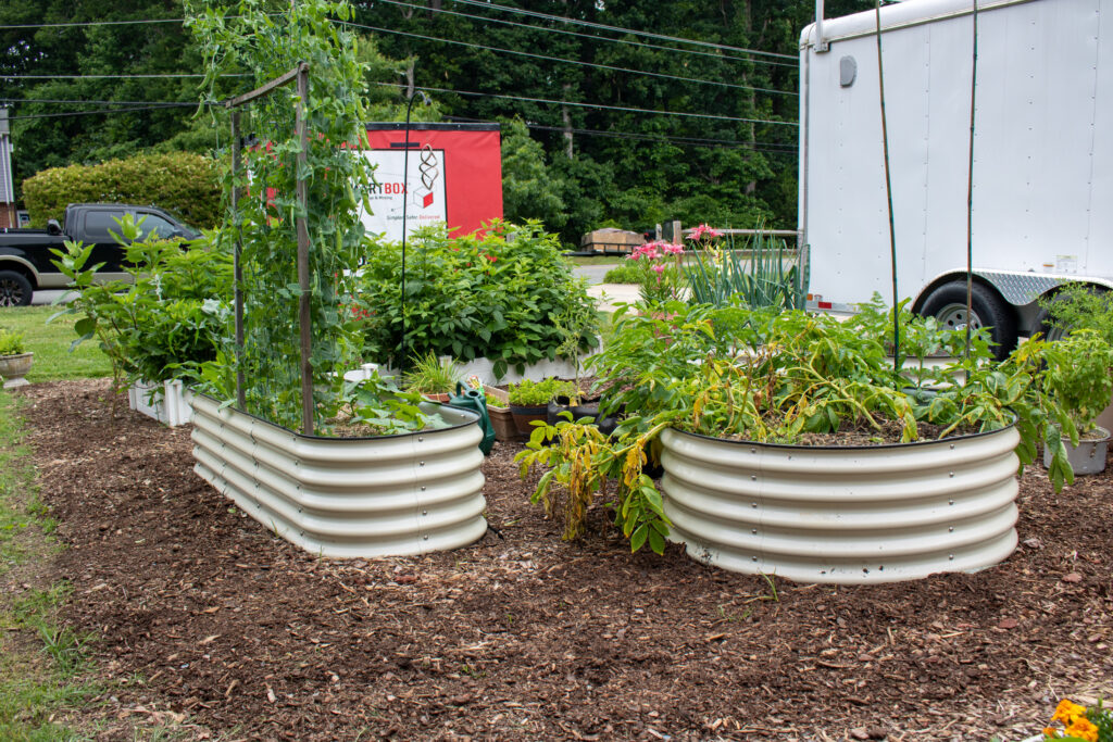photo of two white raised plant beds filled with thriving plants