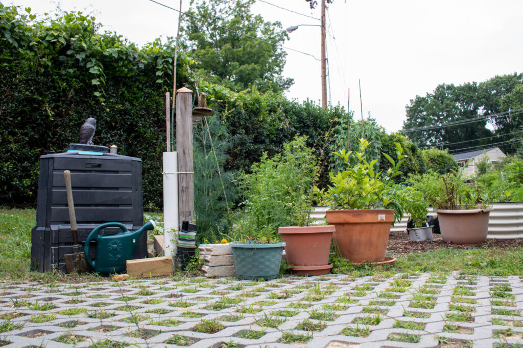 photo of several plants in pots sitting on the ground next to a black compost bin