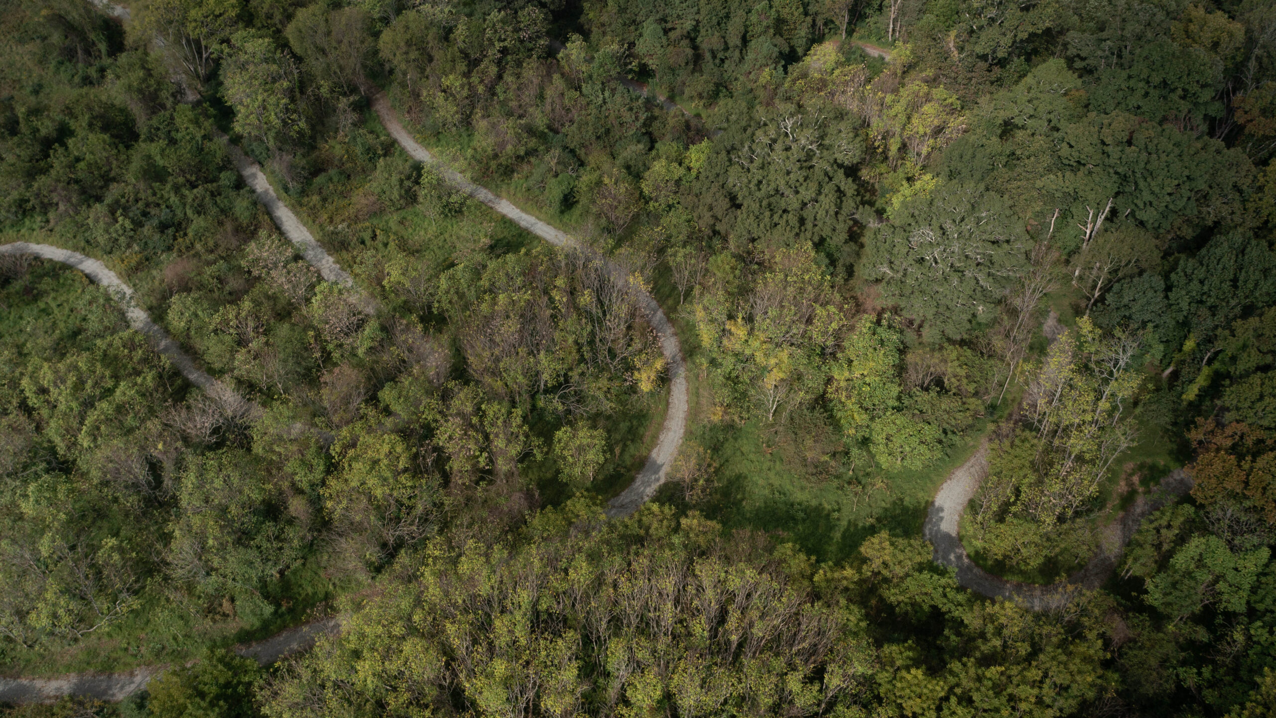 Picture of Glover Park project. Trails and trees aerial view.