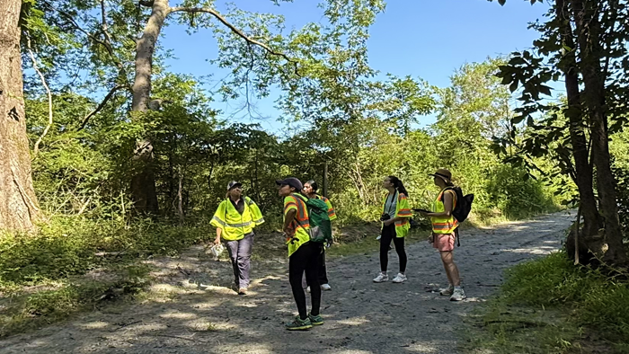 Small group looking at tree area.
