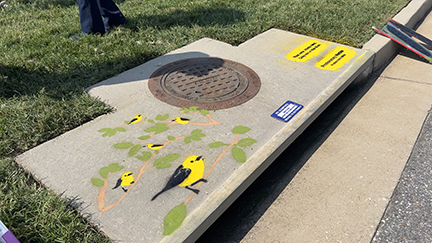 Yellow birds painted on the top of a storm drain.