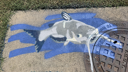 A blue & silver fish painted on the top of a storm drain.