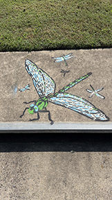 A large dragonfly painted on the top of a storm drain.