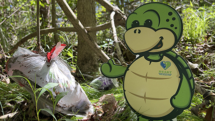 Stewart Turtle Mascot in front of trash on ground in the woods. 