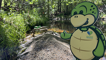 Stewart the turtle giving a thumbs up and a smile as he looks towards the camera with the creek and woods behind him. 