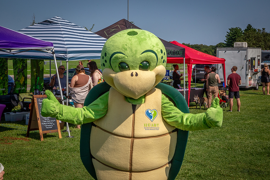 Life size Stewart the Turtle Mascot gives two thumbs up to the camera with lots of tents/people behind him