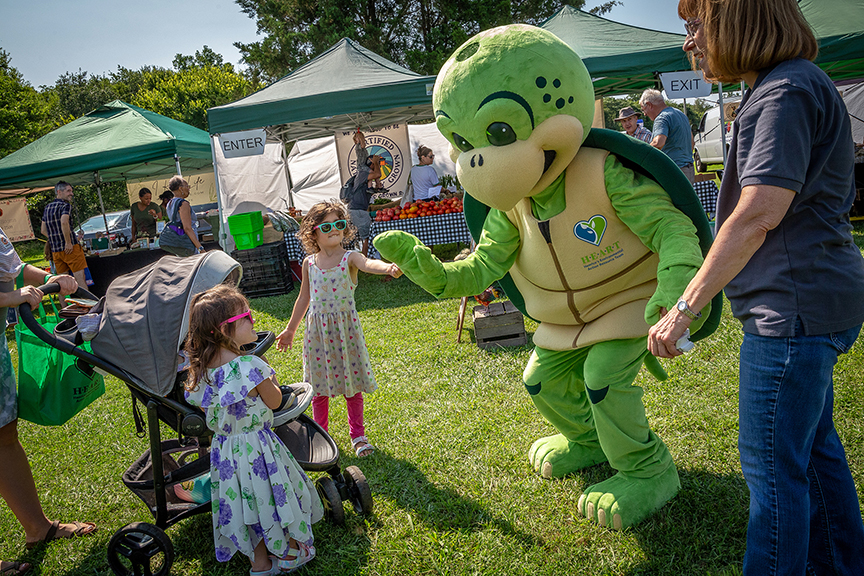 Life size Stewart the turtle mascot bends and high-fives a young girl to his left. The girl is next to the mom as she pushes the stroller. Another young girl is also to his left, while another H.E.A.R.T employee stands to his right