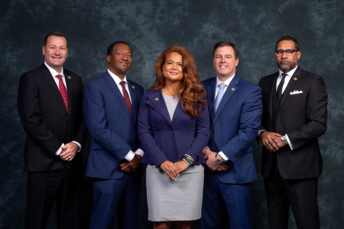 Henrico Board of Supervisors 2024