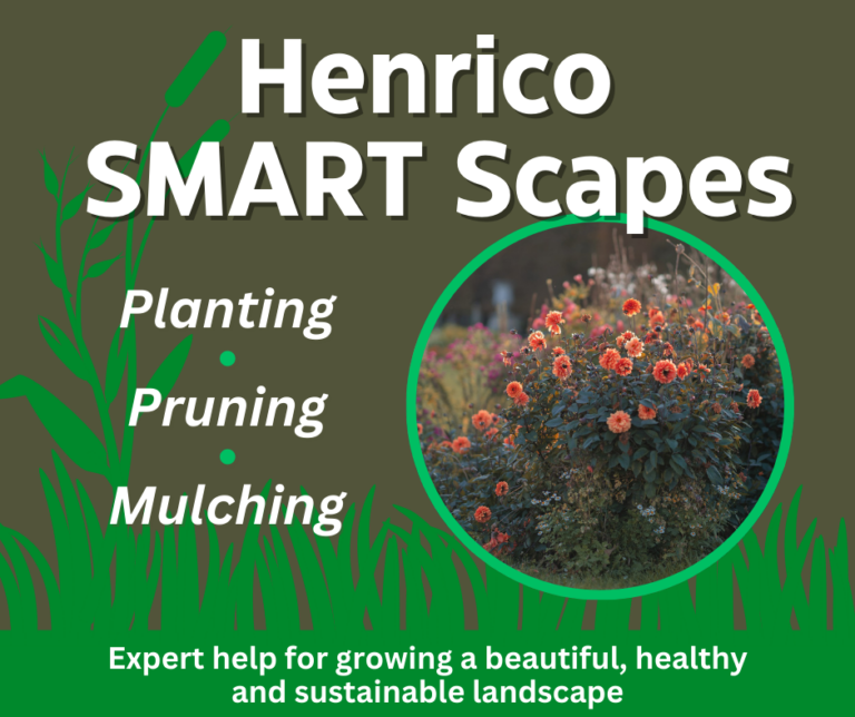 Henrico Smart Scapes