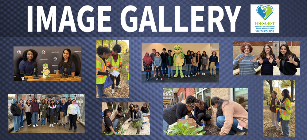 HEART Youth Council Image Gallery graphic. Links to images.