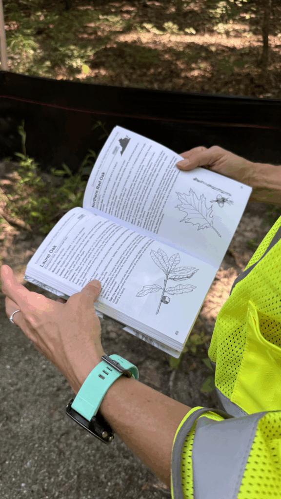 A photo of a person holding open a booklet with pictures of leaves. 