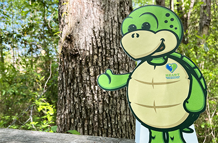 Turtle character in front of trees.