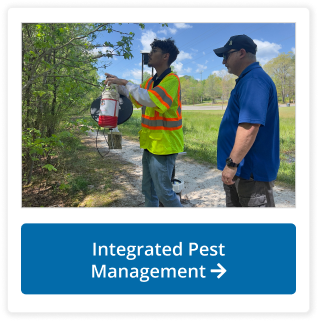 Integrated Pest Management