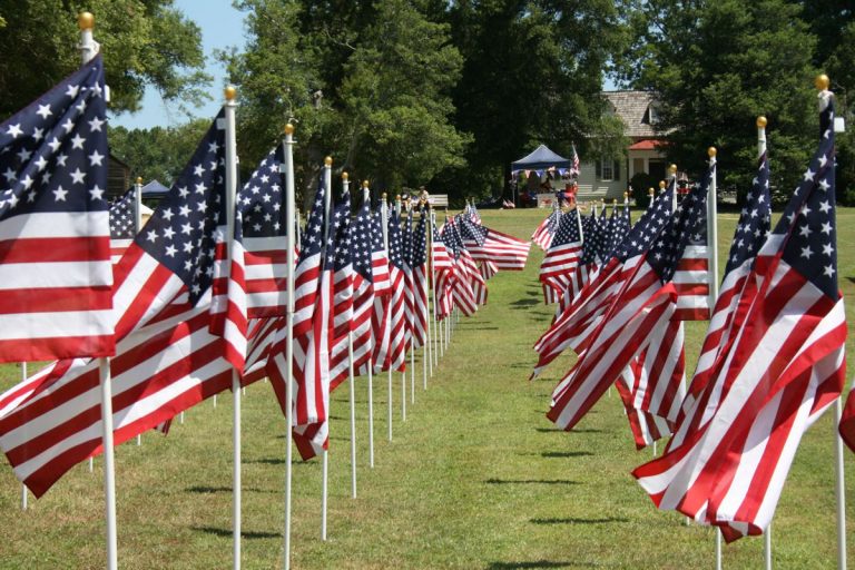 July4 Flagdisplay