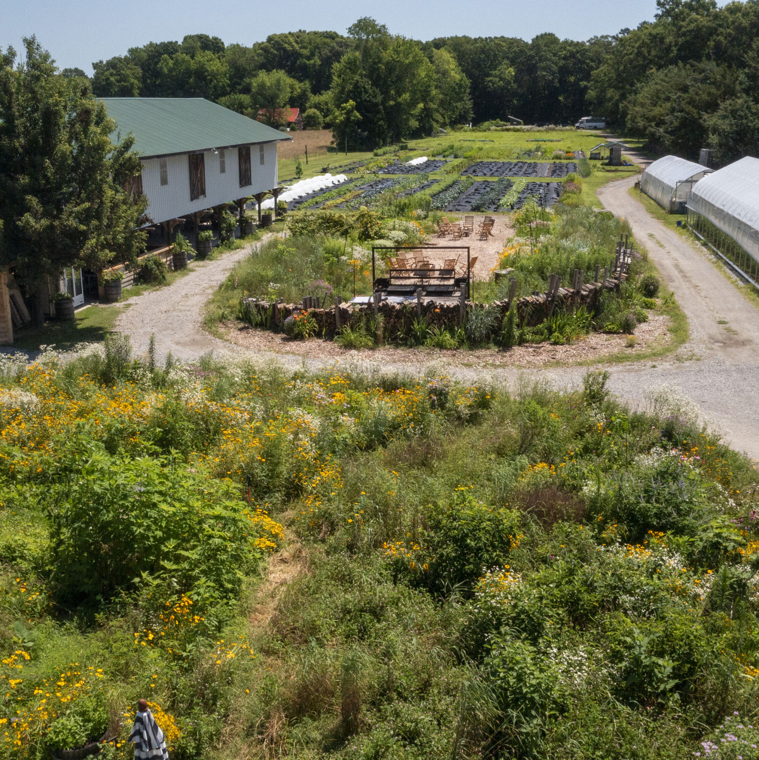 aerial photo of a farm with several large pollinator gardens, rows of crops, and green houses.