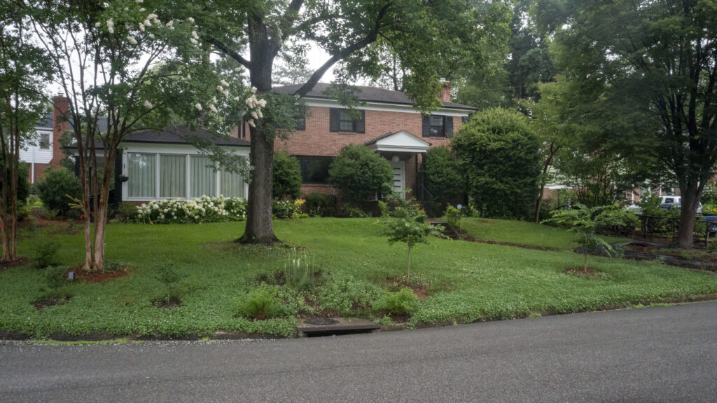 photo of a house with a lush, green yard and several shrubs and trees.