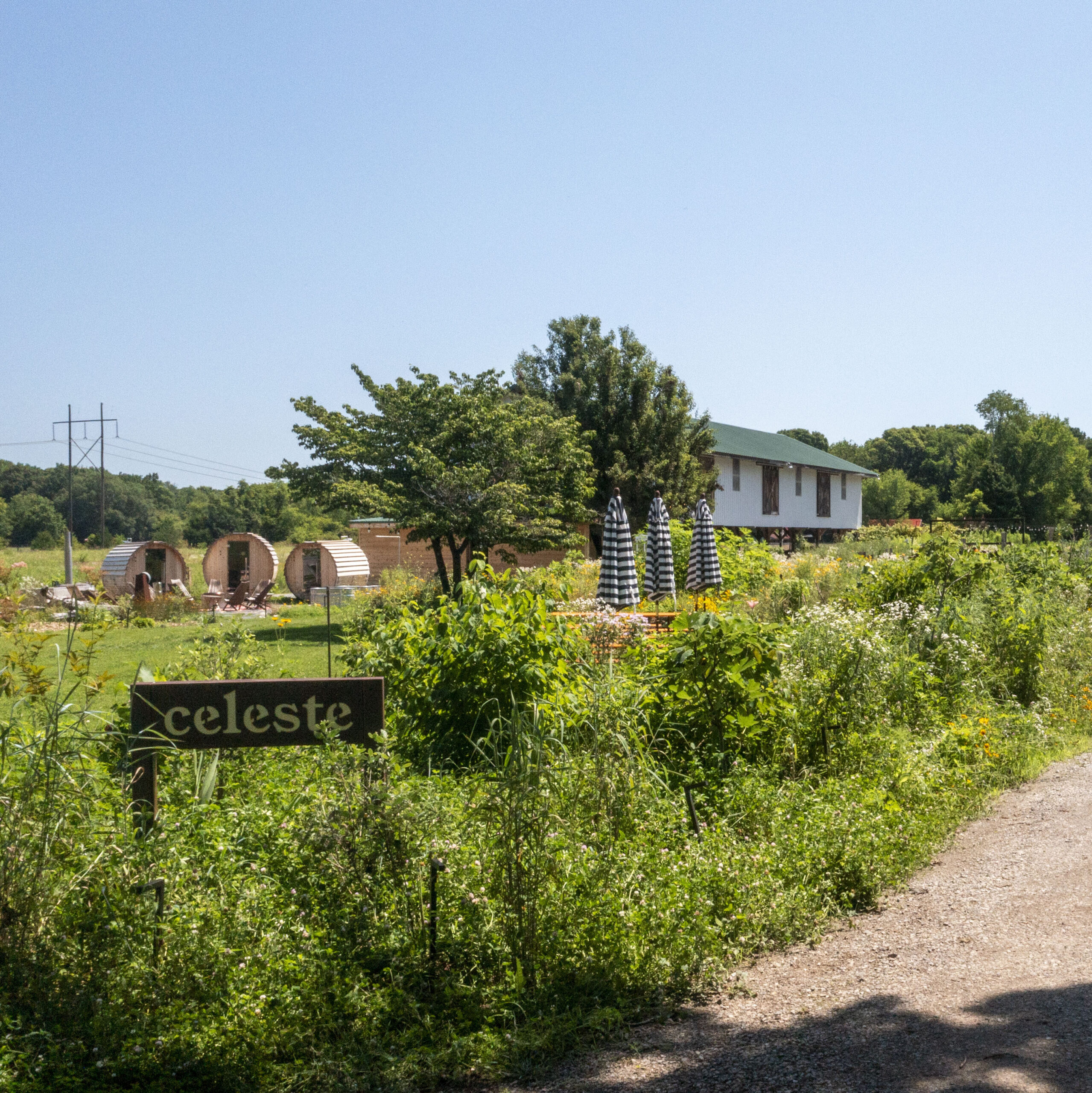 photo a large pollinator garden on a farm with a sign that says celeste.