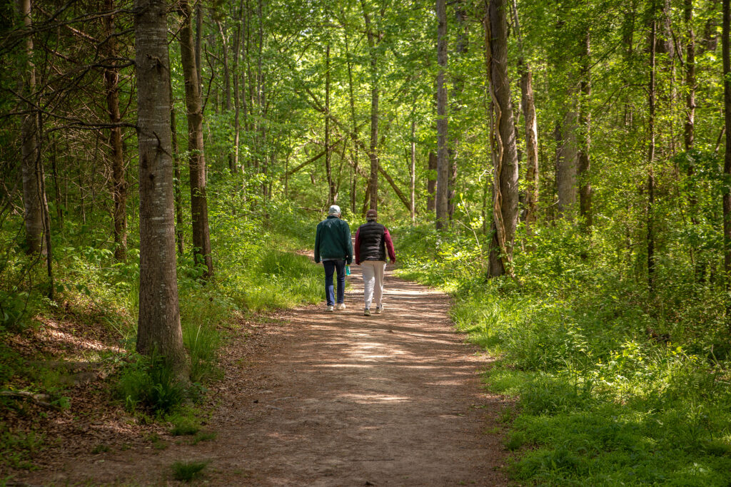 Two people walk on a trail in the woods.