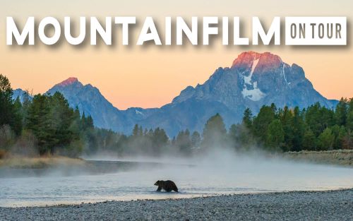 Mountainfilm Web