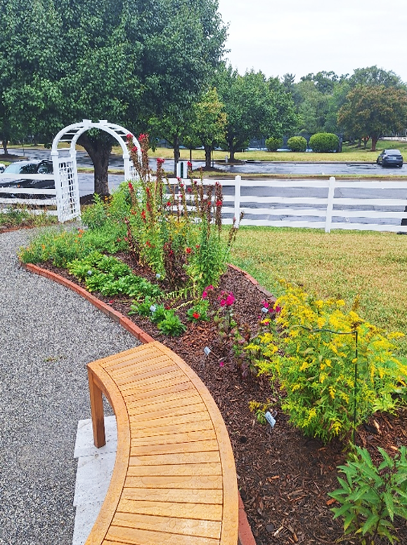Wide view of a pollinator garden. Bench in foreground.