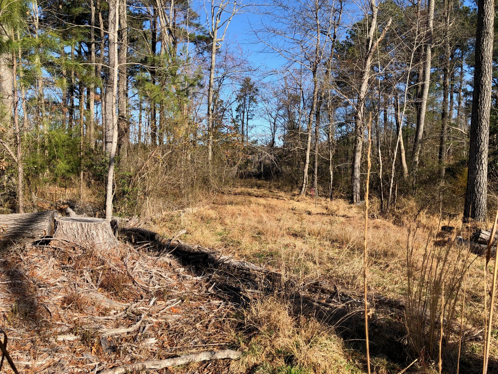 Future trail alignment