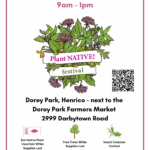 Saturday, October 18, 2025, 9 a.m. to 1 p.m., Plant Native! Festival, Dorey Park, Henrico, next to the Dorey Park Farmers Market, 2999 Darbytown Road. $10 Native tree vouchers while supplies last, insect costume contest.