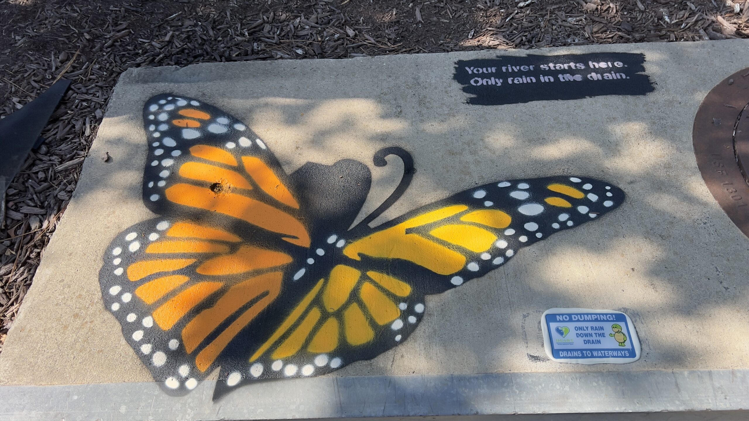 Butterfly painted on a storm drain with message: Your river starts here. Only rain in the drain.